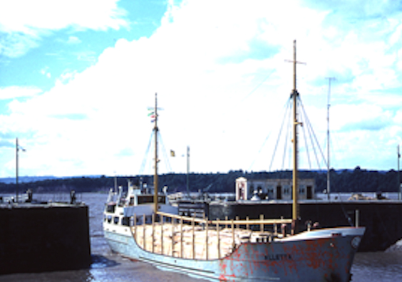 Alletta August 1966